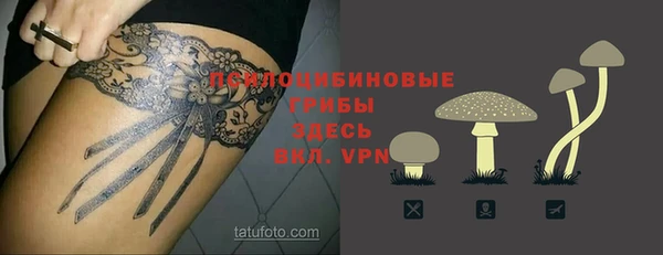 экстази Арсеньев