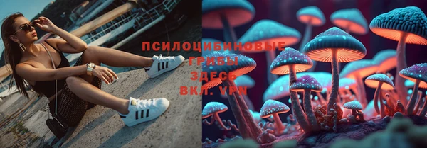 экстази Арсеньев