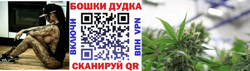 кракен как войти  Рыбное  Конопля план 